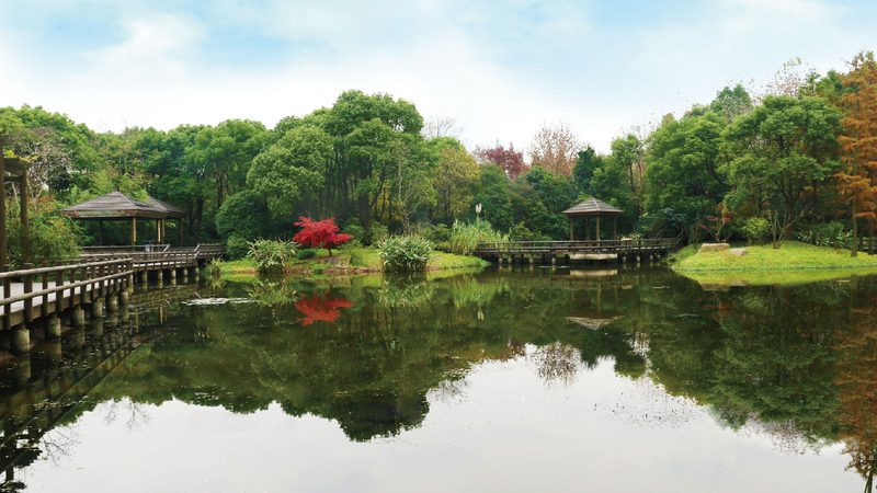 别墅庭院景观设计风格分类解析**