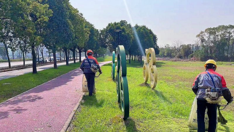 垂直绿化植物墙每平米造价，你了解多少？**