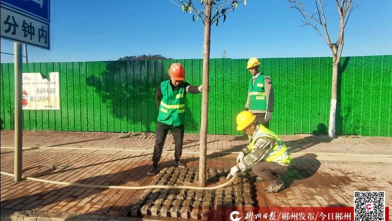 屋顶绿化：城市绿色建筑的必备选择