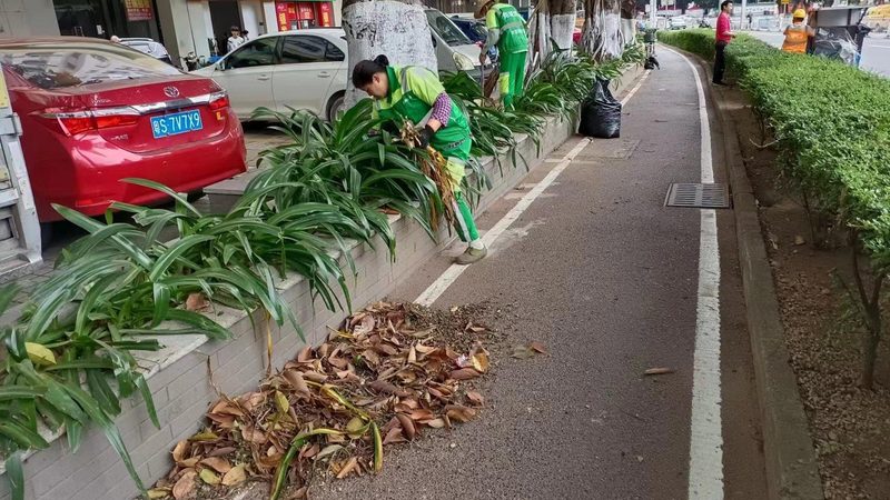 市政绿化灌溉系统：如何制定合理的报价单