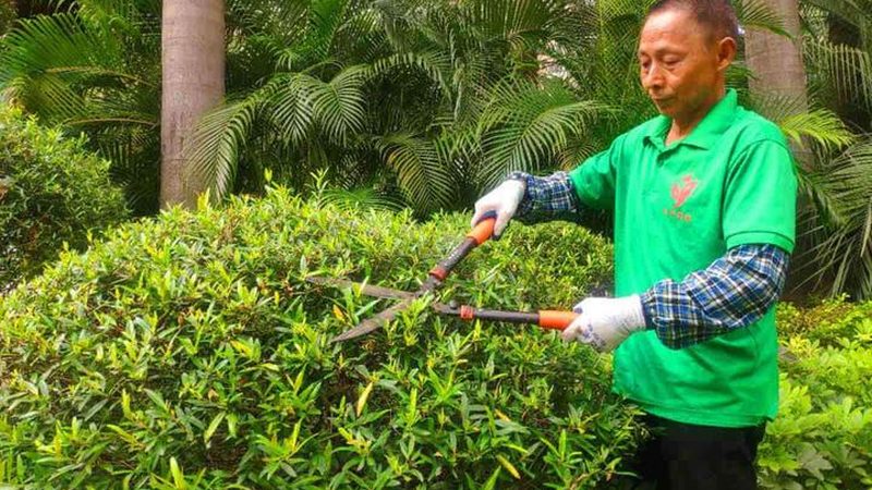 别墅花园景观设计：避坑指南，打造理想家园**