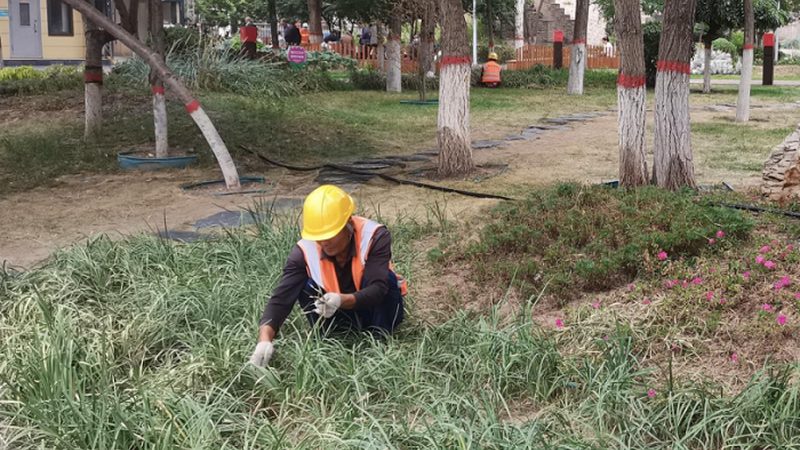 绿化资质挂靠：安全责任如何划分**