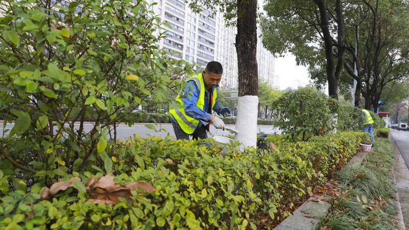 住宅小区绿化设计：规范要求与实施要点**